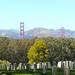 San Francisco Urban Hike: The Presidio