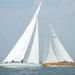 America's Cup Yacht Racing Experience in Newport