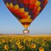 Seville Hot-Air Balloon Ride