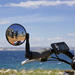 Marseille Shore Excursion: Private Electric Bike Tour to the Calanques