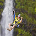Hilo Shore Excursion: Hamakua Coast Zipline over KoleKole Falls