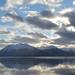 Turnagain Arm and Portage Valley Private Tour