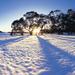 Snow Day Trip to Lake Mountain and Steavenson Waterfalls from Melbourne