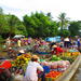 Mekong Delta Day Trip with Cooking Demonstration from Ho Chi Minh City 