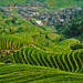 Incredible Longsheng Day Tour to Longji Rice Terraces and Zhuang Yao Culture from Guilin