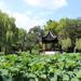 Suzhou Day Tour: Lion Grove Garden and Pingjiang Road with Canal Boat Ride