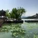 The Essence of Beijing: the Summer Palace, Beijing Zoo and the Lama Temple