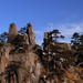 Three-Day Incredible Huangshan Mountain from Beijing