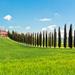Luxury Tuscan Villa Experience Including Lunch and Wine Tasting