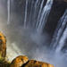 Victoria Falls Walking Tour