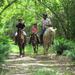 Countryside Horseback Riding at Scape Park