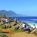 6-Day Fully Guided Garden Route Tour from Cape Town