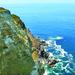 Half Day Cape Point Tour from Cape Town