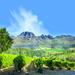 Stellenbosch Winelands Half-Day Tour from Cape Town