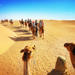 Luxury Desert Experience: Camel Safari with Dinner and Emirati Activities with Transport from Dubai