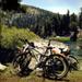 South Lake Tahoe Bike Rental 
