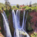 Day Trip to Ouzoud Falls from Marrakech