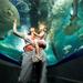 Sunshine Coast Underwater World SEA LIFE Aquarium Entrance Ticket