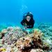 2-Tank Scuba Diving Tour from Providenciales