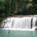 YS Falls Tour from Negril