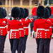  Buckingham Palace Tour Including Changing of the Guard Ceremony 