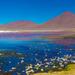 Atacama Salt Flat Lagoons Tour Including Ojos del Salar from San Pedro de Atacama
