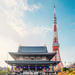 Tokyo Modern and Traditional Architecture Highlights by Minibus