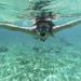 Curacao Snorkel Adventure