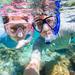Excursión por la costa de Curazao: Aventura de buceo de superficie