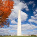 Viator Exclusive: Washington Monument Reserved Admission with DC Landmarks and Memorials Tour