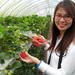 Strawberry Farm Tour from Seoul