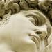 Florence Sightseeing Tour with Accademia Gallery Visit