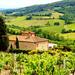 Florence to Greve in Chianti Tour with Wine Tasting Experience