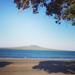 Half-Day Takapuna Food and Culture Tour from Auckland 