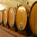 Full-Day Wine Tour from Bologna