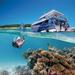 3-Day Southern Great Barrier Reef Tour Including Lady Musgrave Island