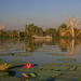 Corroboree Billabong Wetland Cruise