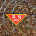 Joint Security Area (JSA) Tour: Get Close to the North Korean Border