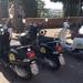 3-hour Verona Vespa Tour