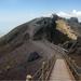 Mt Vesuvius Half-Day Tour from Sorrento