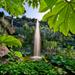 Semi-Independent Ischia Coach Tour with Visit to La Mortella Botanic Gardens from Sorrento