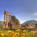 Private Tour: Delphi Day Trip from Athens Including Lunch