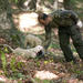 Private Tour: Truffle-Hunting Experience from Naples with Lunch