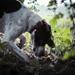 Private Tour: Truffle-Hunting Experience from Sorrento with Lunch