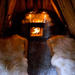 3-Night Kolarbyn Ecolodge Wildlife Adventure with Guided Moose and Beaver Safaris