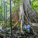 2-Day Nam Cat Tien National Park from Ho Chi Minh City