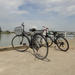 Full-Day Cycling Tour From Hoi An City