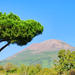 Mt Vesuvius Tour from Sorrento