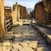 Pompeii and Wine Tasting Experience from Sorrento