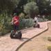 Marrakech Segway Tour